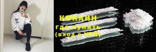 МДПВ Снежногорск