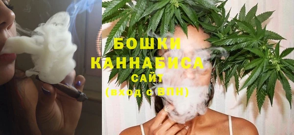 МДПВ Снежногорск
