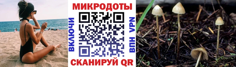 Галлюциногенные грибы мицелий  где продают наркотики  Бирюч 